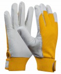 703431 gelb Uni Fit.jpg
